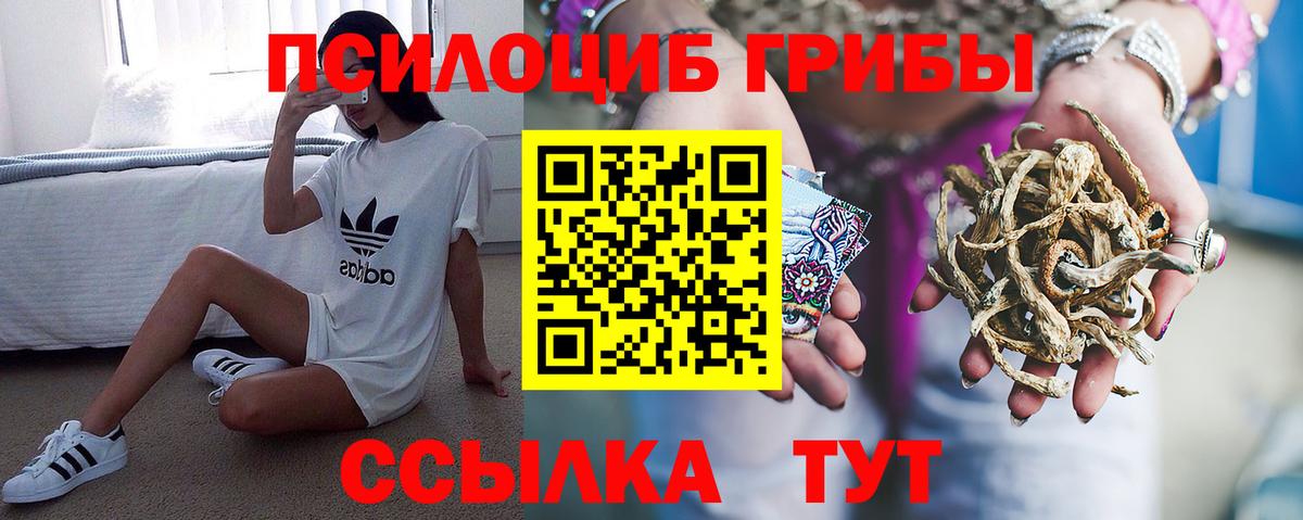 Псилоцибиновые грибы GOLDEN TEACHER Анапа